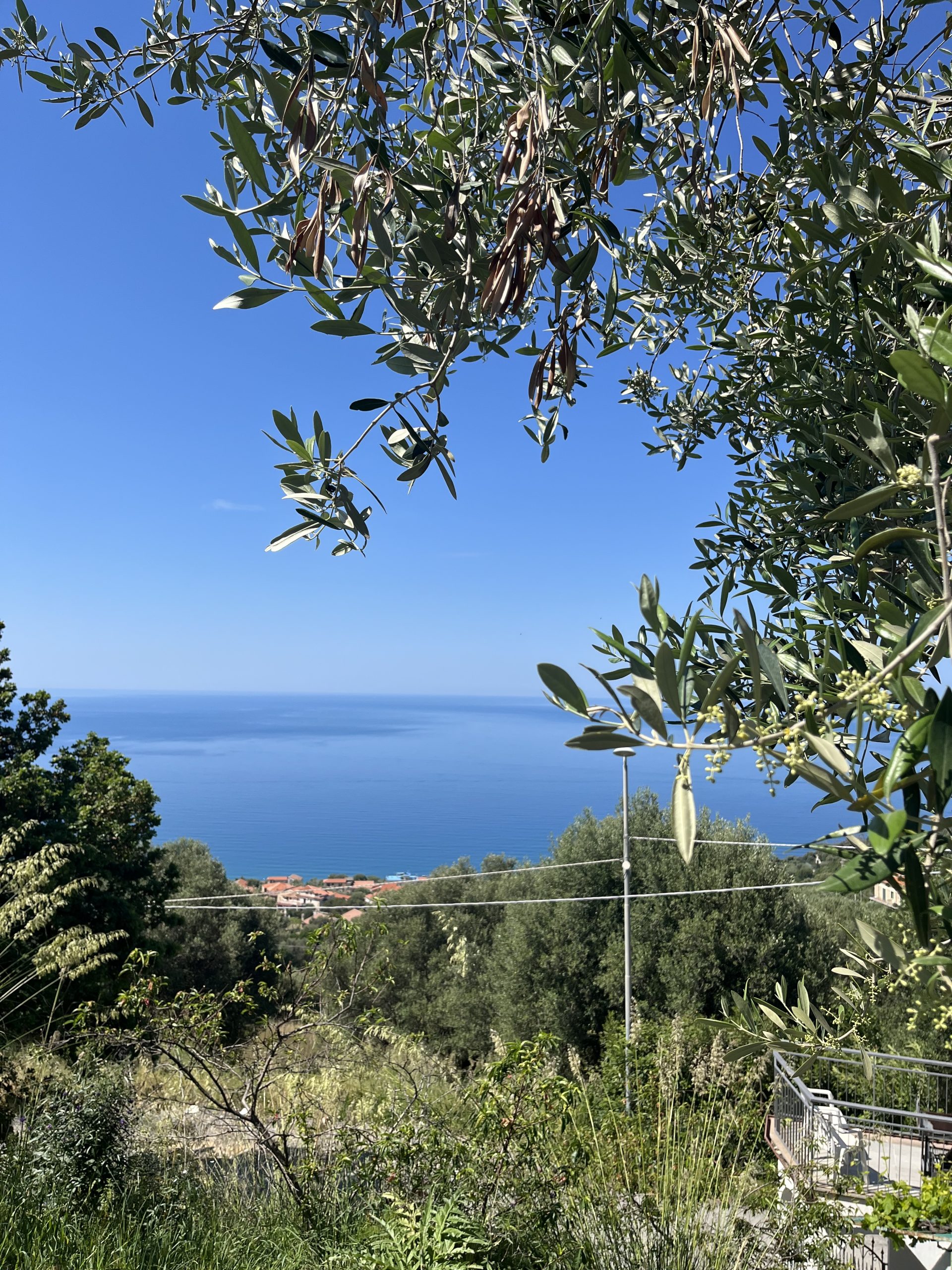 Elegante casa vacanza Fascino del Cilento con vista panoramica sul mare