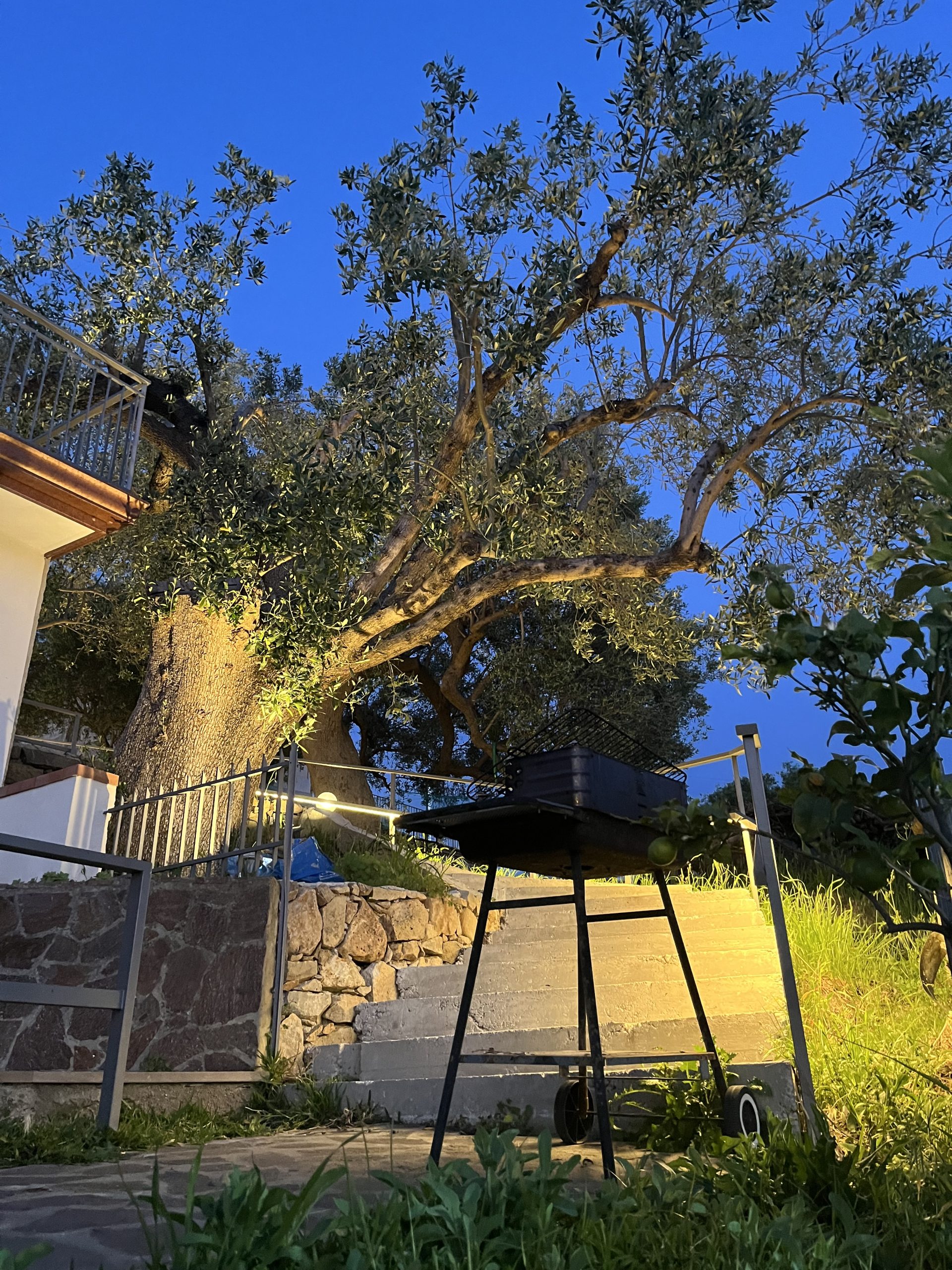 Paesaggio collinare del Cilento